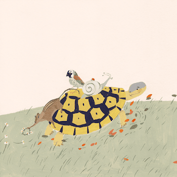  Tortoise Finds His Home