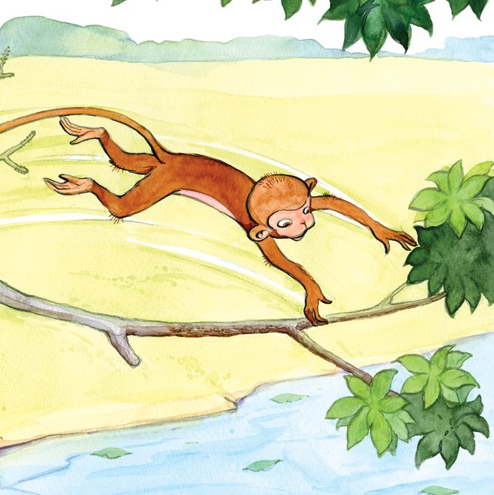  The jumping monkey