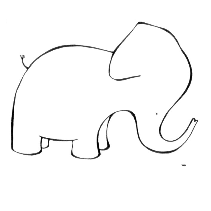  AN ELEPHANT