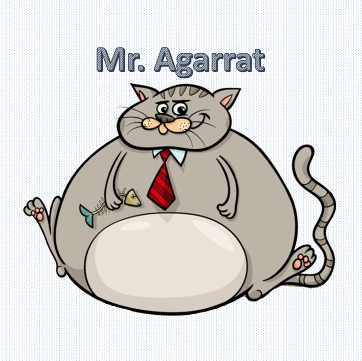  Mr. Agarrat