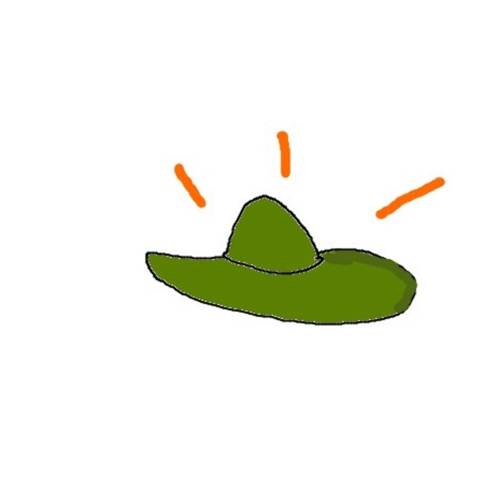  hat