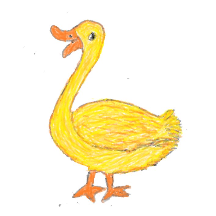  THE GOOSE WITH GOLDEN FEATHERS