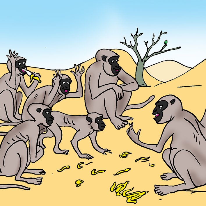  Monkey and the Drought