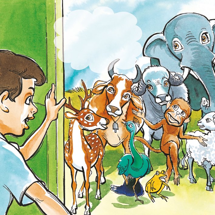  The Little Boy s Animals