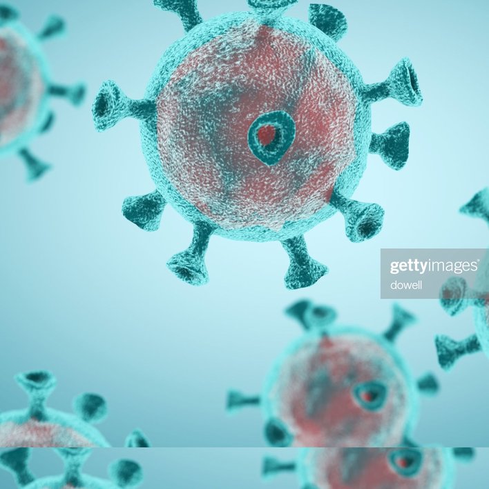  All about the Coronavirus-Fact file