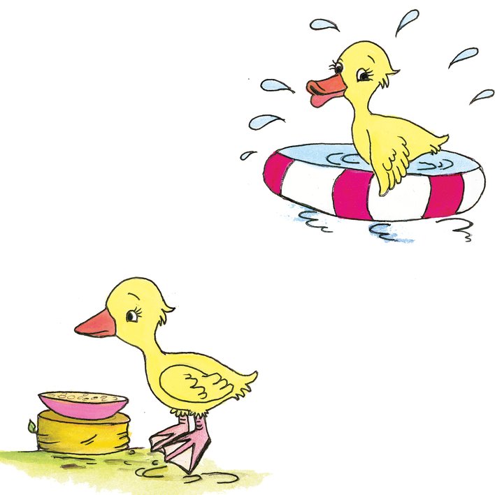  Bird bath