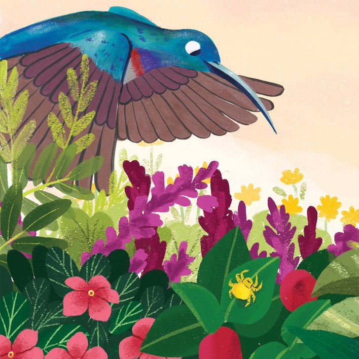  Why Do Sunbirds Eat All Day?