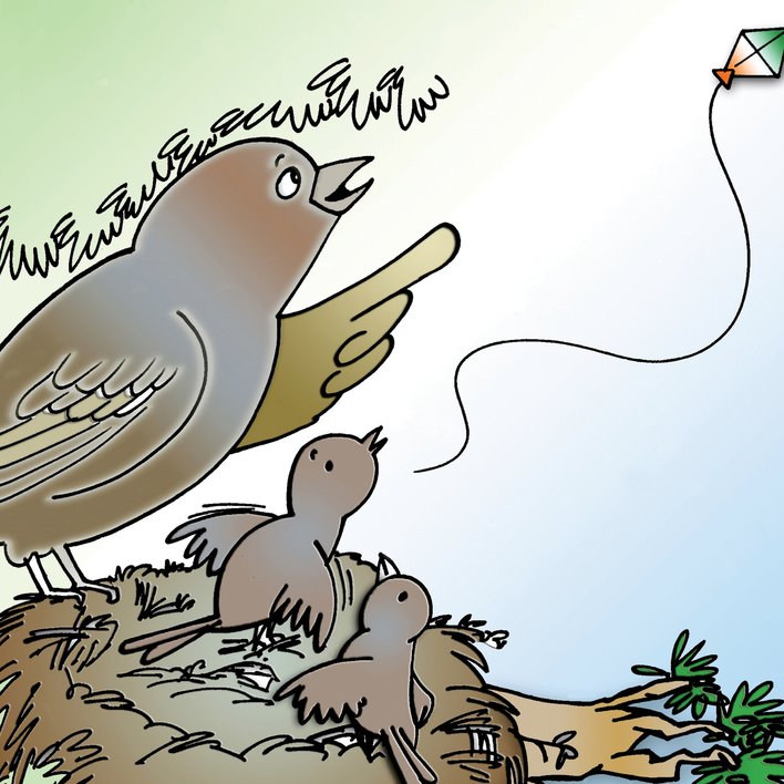  Funny birds in the sky