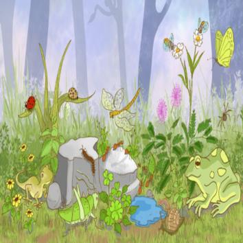  Buzzinga!! Lets learn about some bugs!