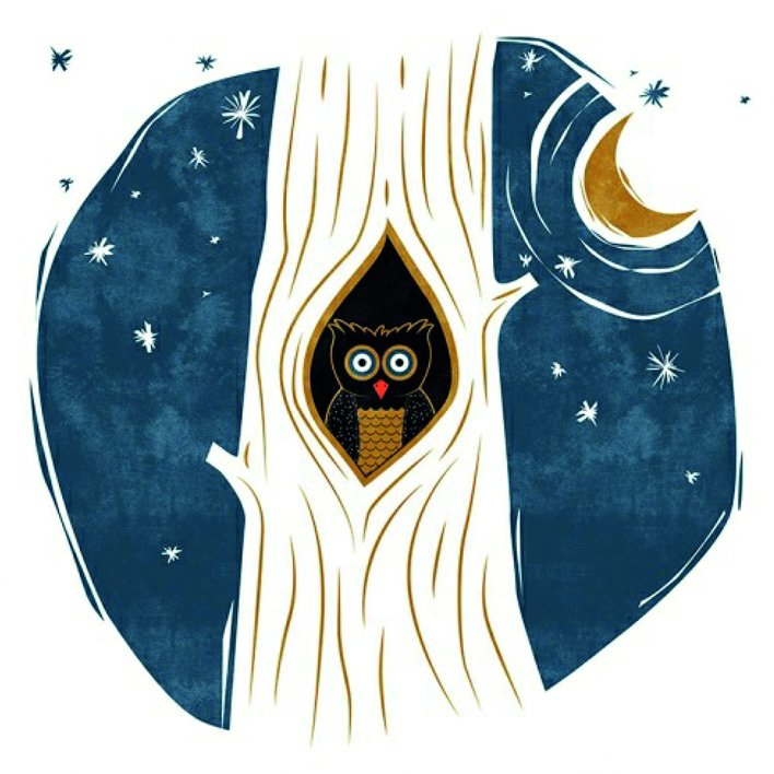  Why Owls Do Not Sleep At Night