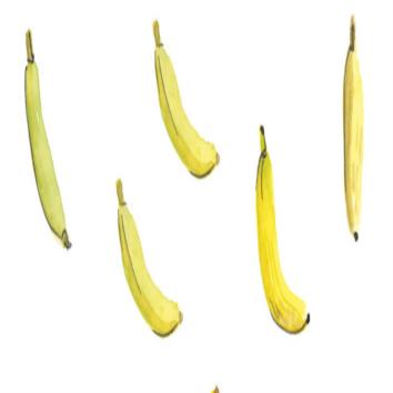  Sweet bananas