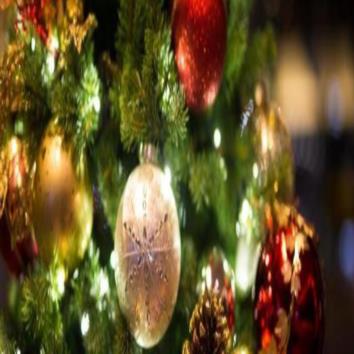  CHRISTMAS FUN