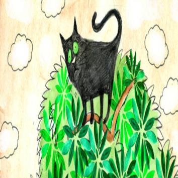  Wise Cat