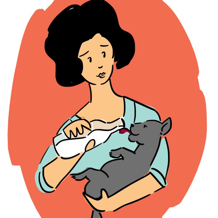  Lady and the cat