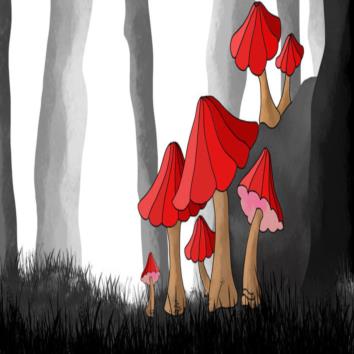  The Treasure in the Wood