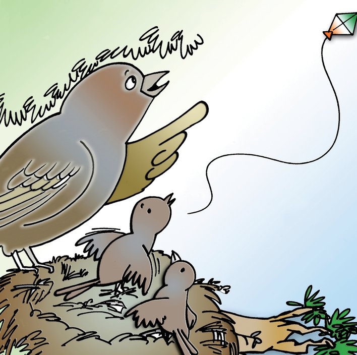  Rabbit s Kite