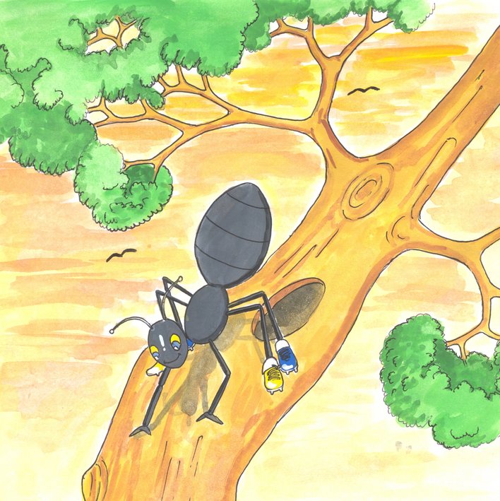  The Ant s Magical Shoes