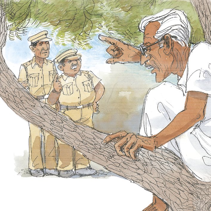  Grandpa in the Tree