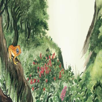 THE ADVENTURES OF PHILAUTUS FROG