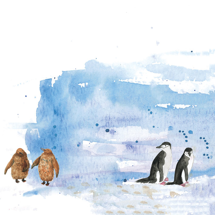  Feathered Friends