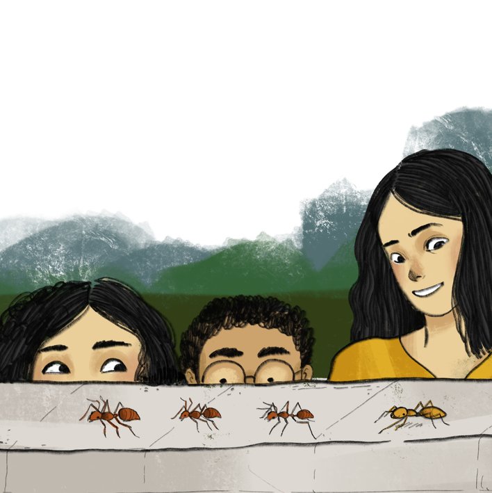  Eight-Legged Creatures