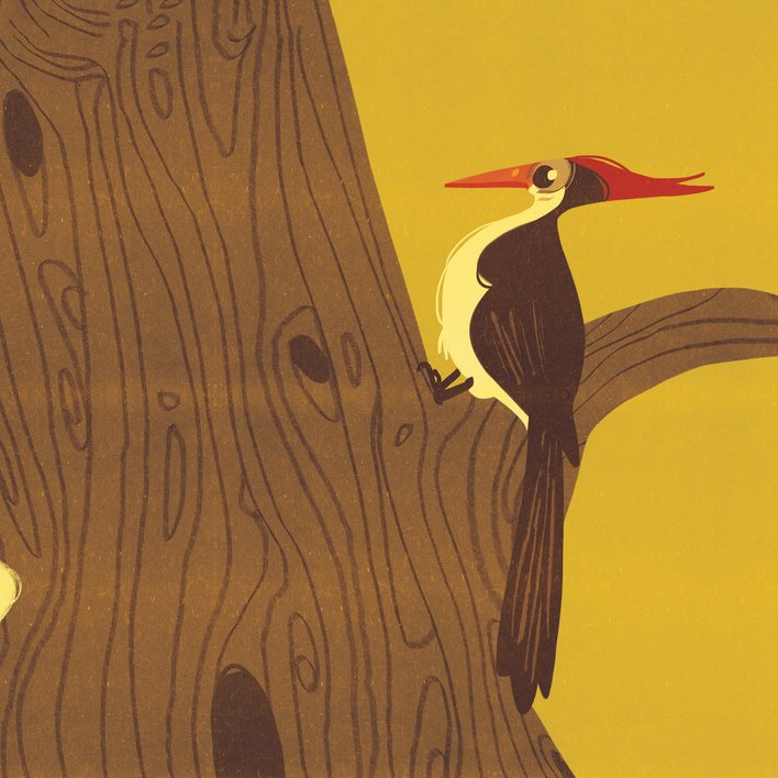  The Annoying Woodpecker