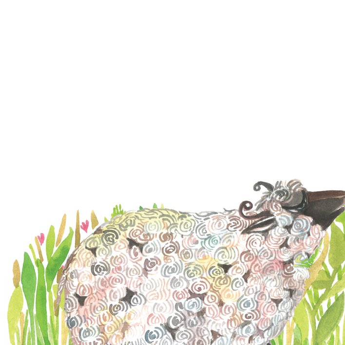  Faire the Sheep