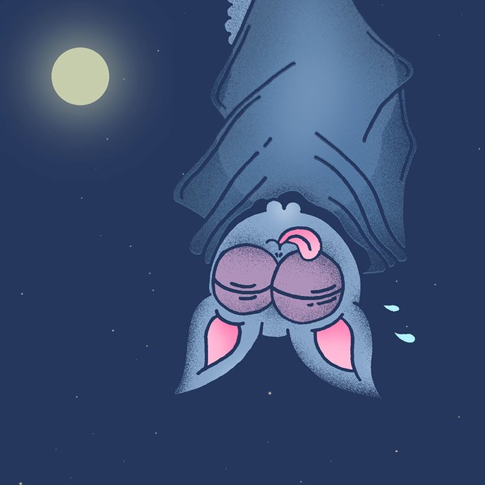  Hunter the Bat