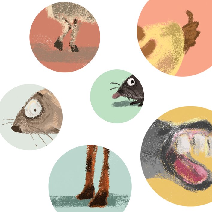  My First Book About Animals