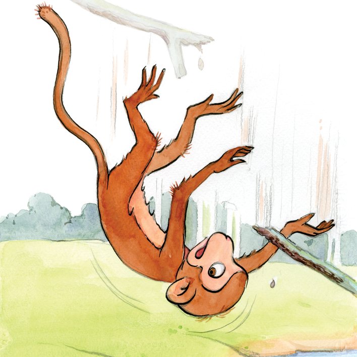  The Cheeky Lucky Monkey