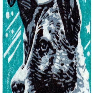  How was the dog Laika allowded to go in space