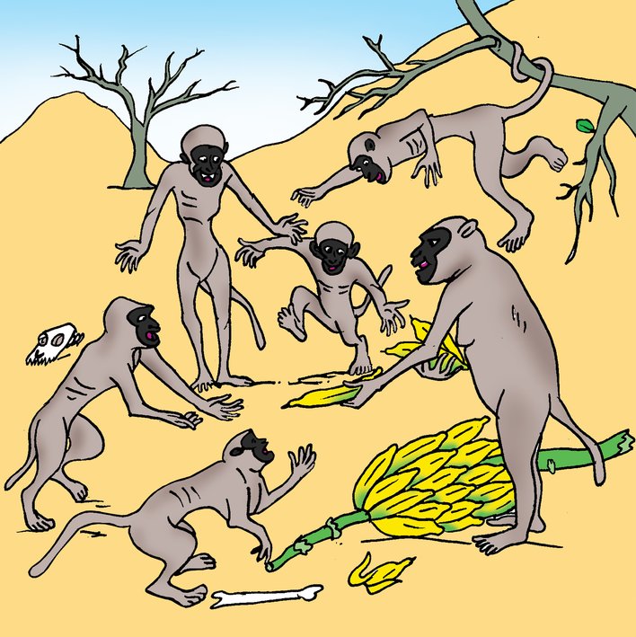  Monkeys Share