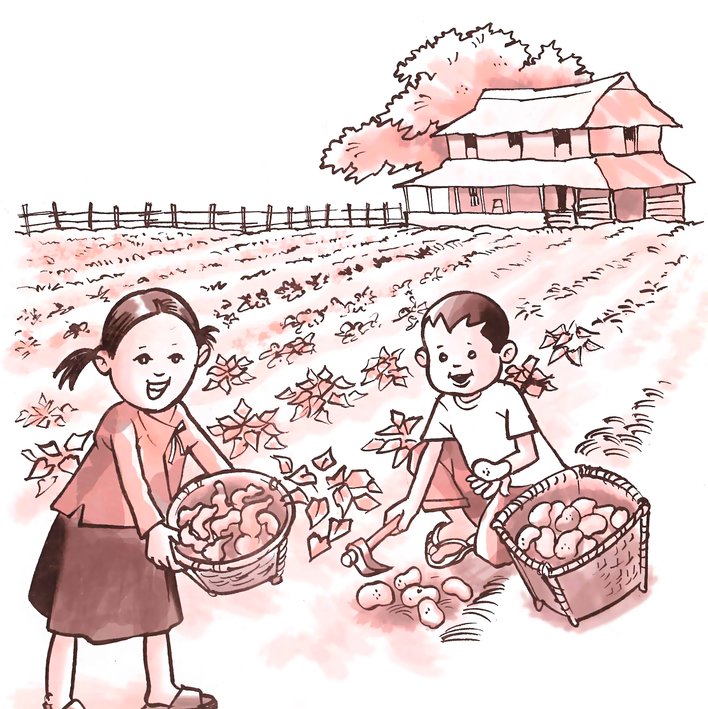  (Creating) The Fun Farm
