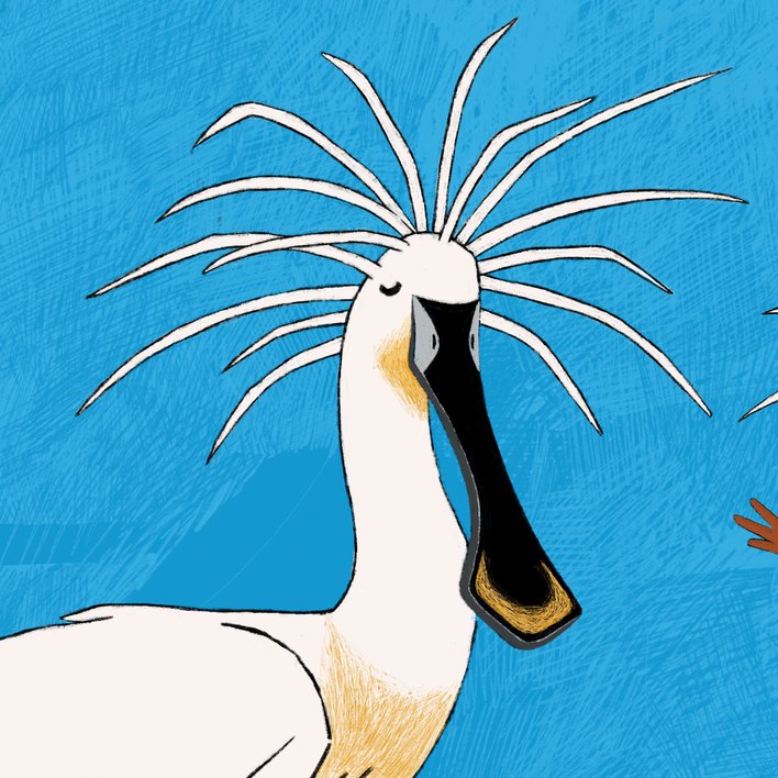  (Creating) Really Cool Birds!