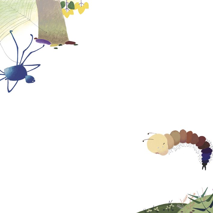  (Creating) Matty the Millipede
