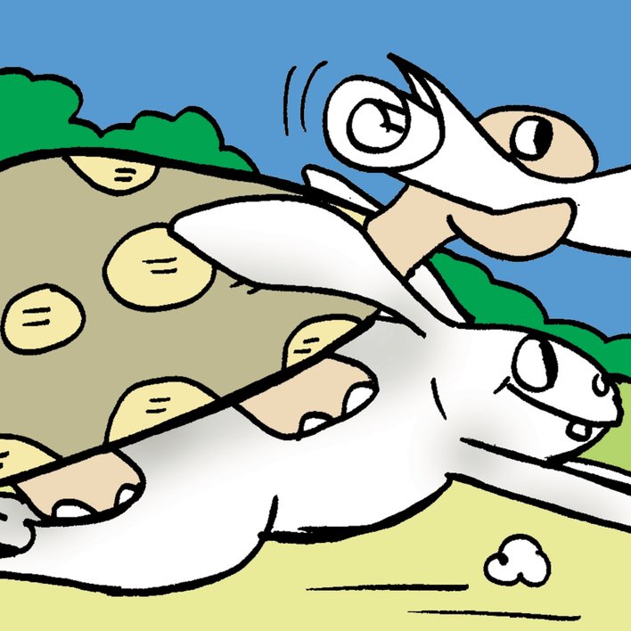  Mr. Tortoise and Mr. Rabbit