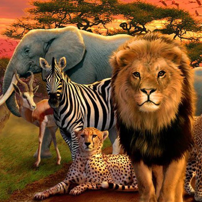  Picture Conversation-Comparative Adjectives