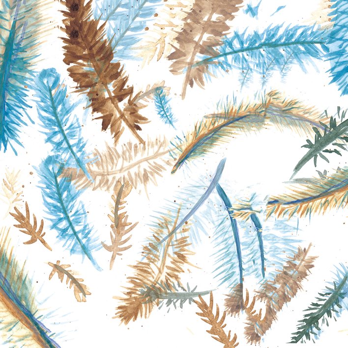 Backgrounds