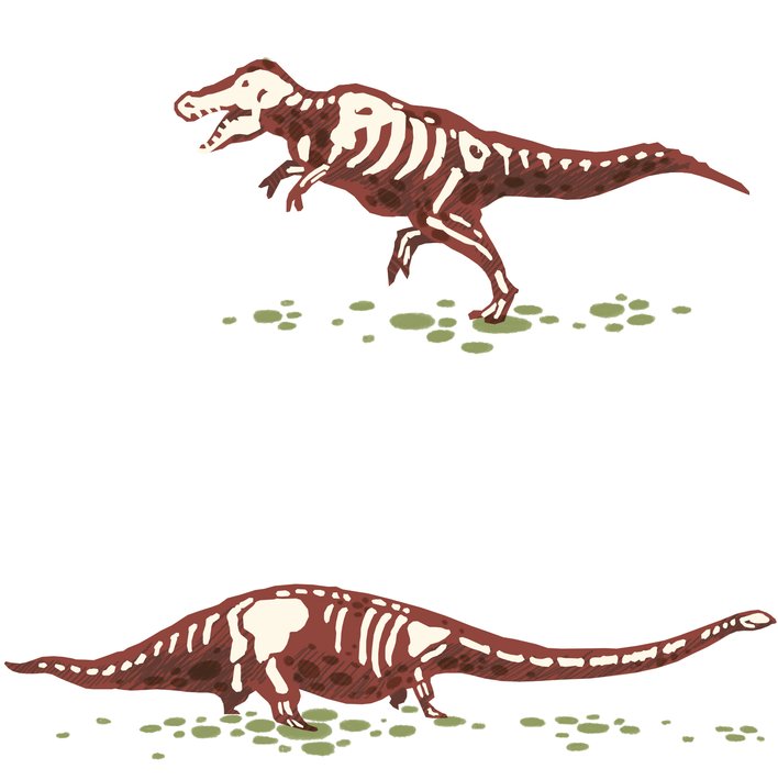  Fossils / My Bike