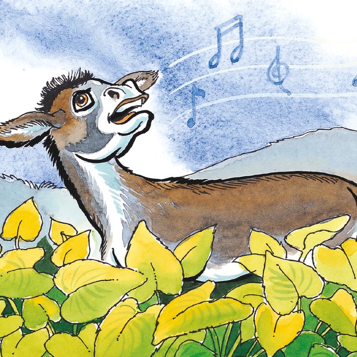 (Creating) The Donkey Sings