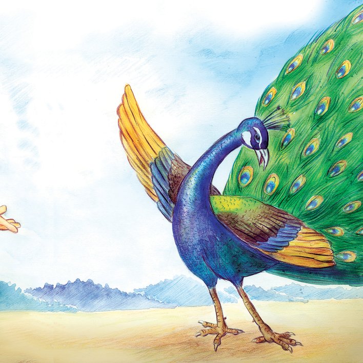  (Creating) Amazing Feathers