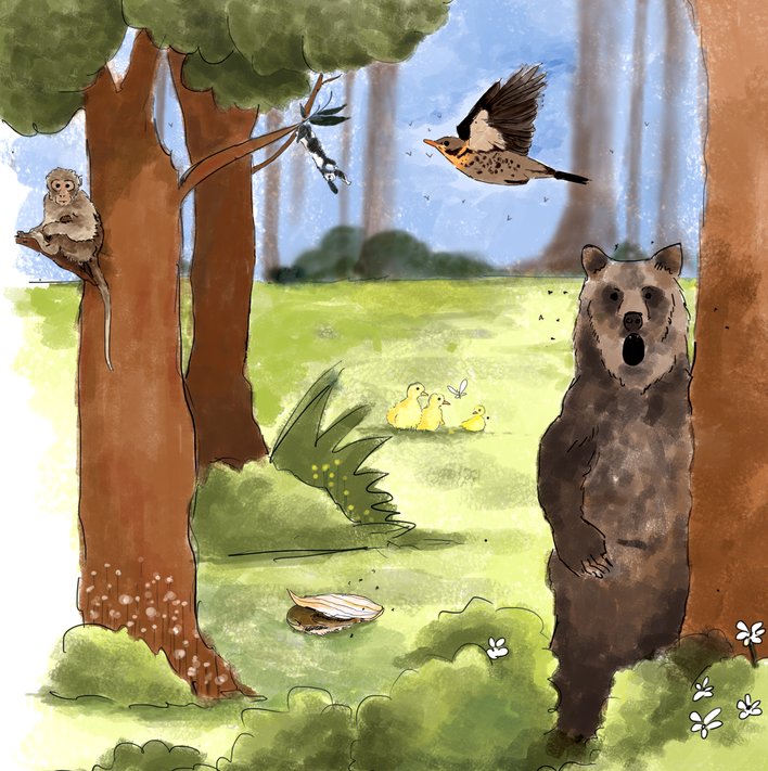  (Creating) The Animals in the Forest