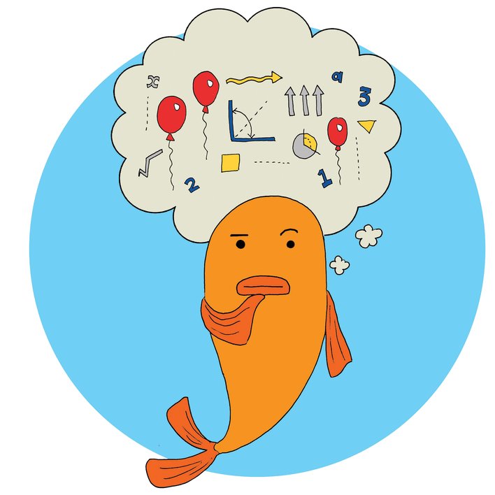  (Creating) George the Goldfish