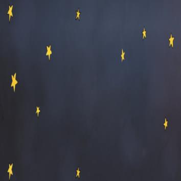  the elephat that fall in love with a star.