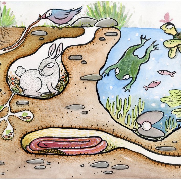  Life Underground- Spot and Color