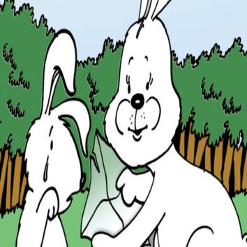  How rabbit injured himself